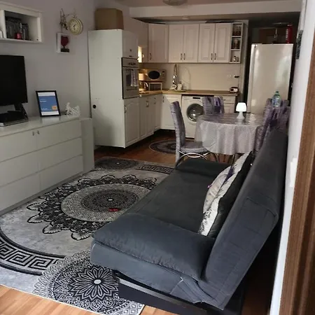 Like Apartment Busteni